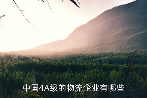 中國4A級(jí)的物流企業(yè)有哪些