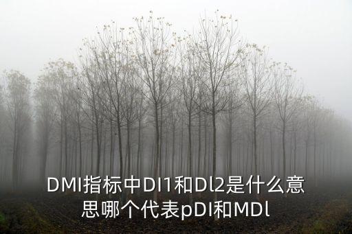 DMI指標中DI1和Dl2是什么意思哪個代表pDI和MDl