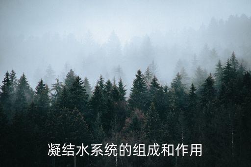 凝結(jié)水系統(tǒng)的組成和作用