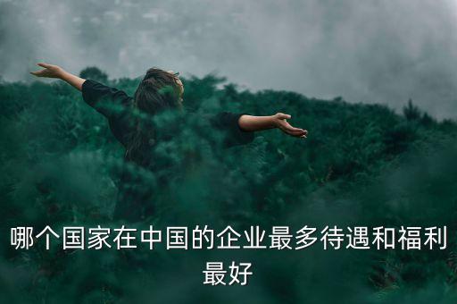 哪個國家在中國的企業(yè)最多待遇和福利最好