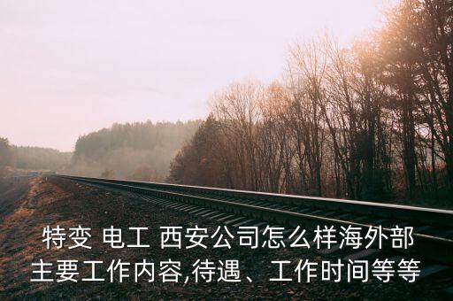  特變 電工 西安公司怎么樣海外部主要工作內(nèi)容,待遇、工作時間等等