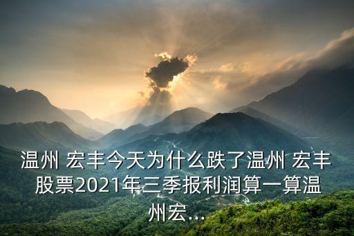 溫州 宏豐今天為什么跌了溫州 宏豐 股票2021年三季報(bào)利潤算一算溫州宏...