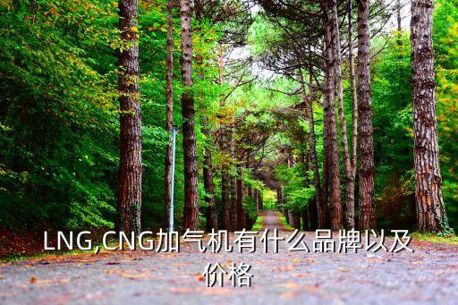 LNG,CNG加氣機(jī)有什么品牌以及價格