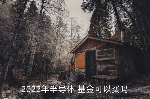 2022年半導(dǎo)體 基金可以買(mǎi)嗎