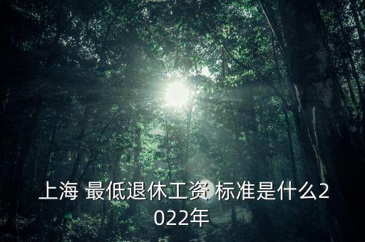  上海 最低退休工資 標(biāo)準(zhǔn)是什么2022年