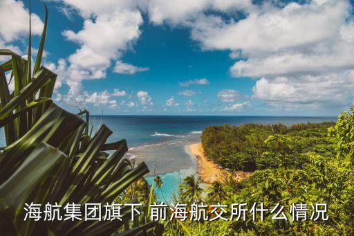 海航集團(tuán)旗下 前海航交所什么情況