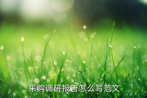  采購(gòu)調(diào)研報(bào)告怎么寫范文