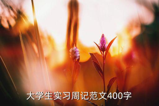 大學生實習周記范文400字