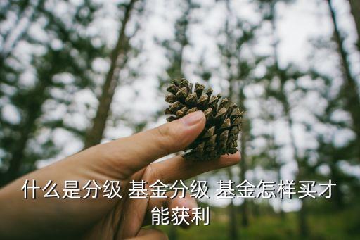 什么是分級(jí) 基金分級(jí) 基金怎樣買才能獲利