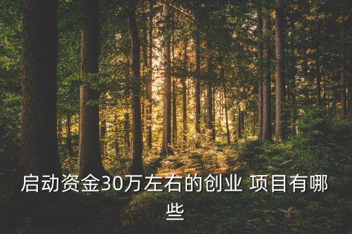 啟動(dòng)資金30萬(wàn)左右的創(chuàng)業(yè) 項(xiàng)目有哪些