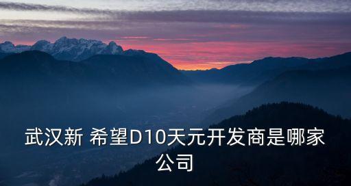 武漢新 希望D10天元開(kāi)發(fā)商是哪家公司