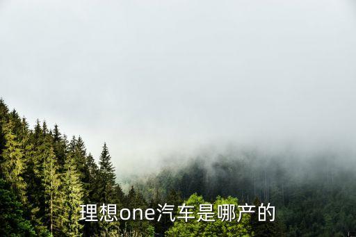 理想one汽車是哪產(chǎn)的