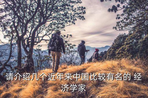 請介紹幾個近年來中國比較有名的 經(jīng)濟學家