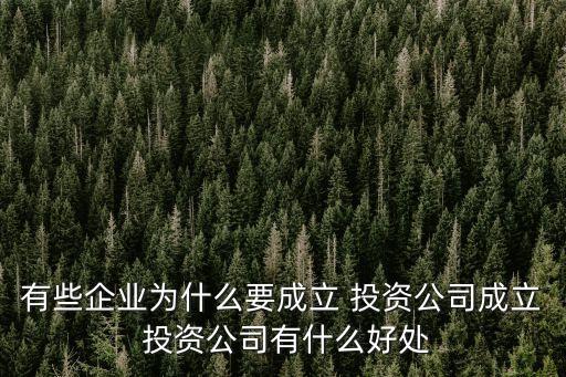 有些企業(yè)為什么要成立 投資公司成立 投資公司有什么好處