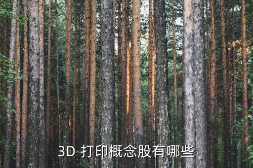 3D 打印概念股有哪些