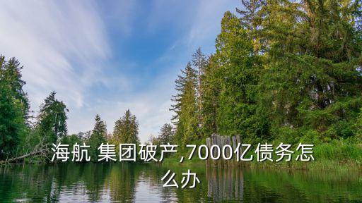  海航 集團破產,7000億債務怎么辦