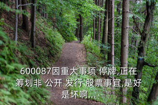 600087因重大事項 停牌,正在籌劃非 公開 發(fā)行 股票事宜,是好是壞啊...