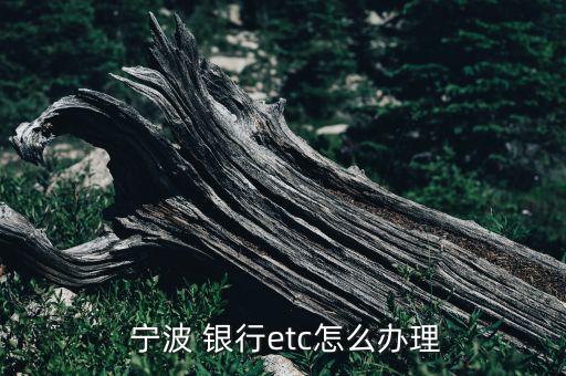  寧波 銀行etc怎么辦理