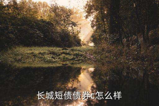 長(zhǎng)城短債債券c怎么樣