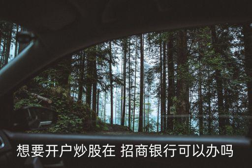 想要開戶炒股在 招商銀行可以辦嗎