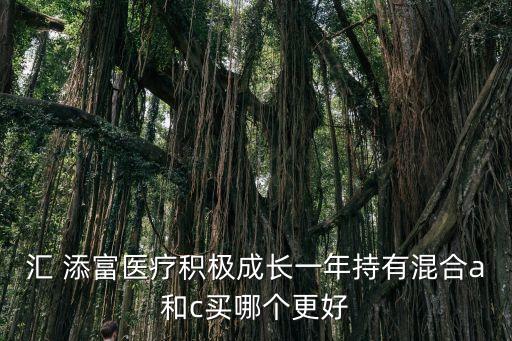 匯 添富醫(yī)療積極成長一年持有混合a和c買哪個更好