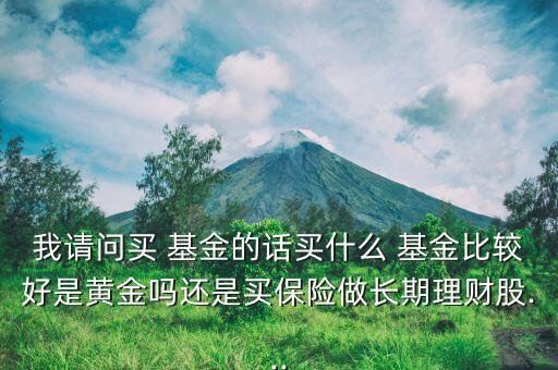 我請問買 基金的話買什么 基金比較好是黃金嗎還是買保險做長期理財股...