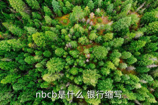 nbcb是什么 銀行縮寫(xiě)