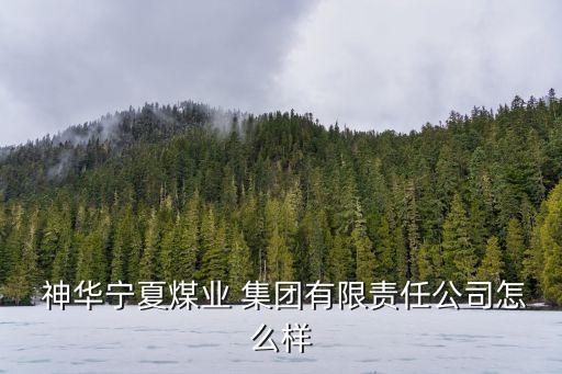  神華寧夏煤業(yè) 集團(tuán)有限責(zé)任公司怎么樣