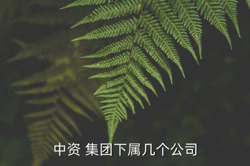 中資 集團(tuán)下屬幾個公司