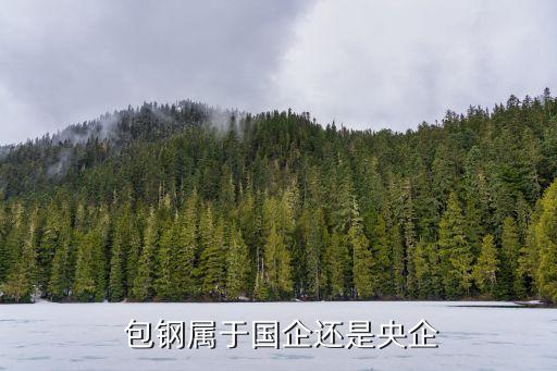 包鋼稀土國貿(mào)公司