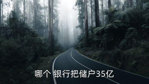 哪個(gè) 銀行把儲(chǔ)戶(hù)35億