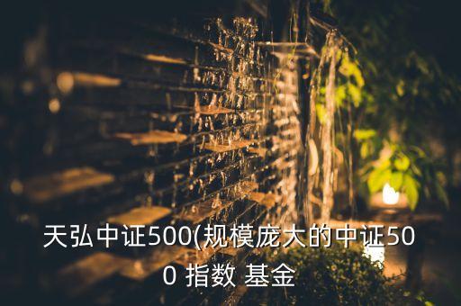 天弘中證500(規(guī)模龐大的中證500 指數(shù) 基金