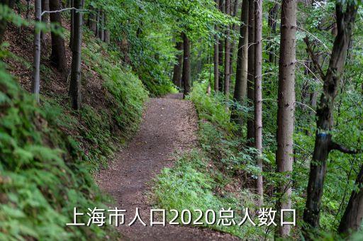 上海市人口2020總?cè)藬?shù)口