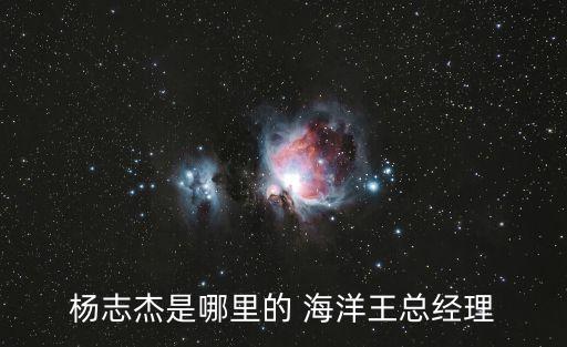 楊志杰是哪里的 海洋王總經(jīng)理