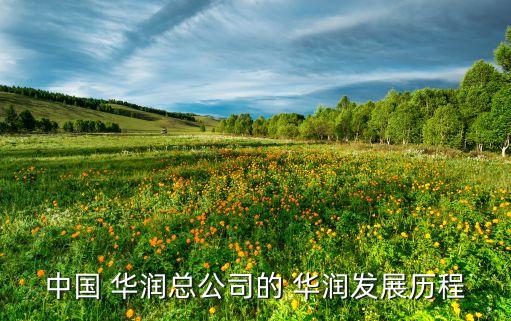 中國 華潤總公司的 華潤發(fā)展歷程