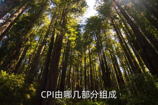 CPI由哪幾部分組成