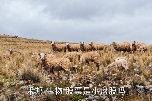 禾邦 生物 股票是小盤股嗎