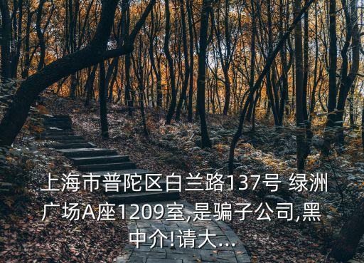  上海市普陀區(qū)白蘭路137號 綠洲廣場A座1209室,是騙子公司,黑中介!請大...