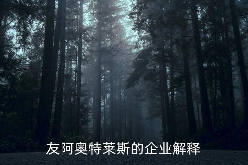 友阿奧特萊斯的企業(yè)解釋