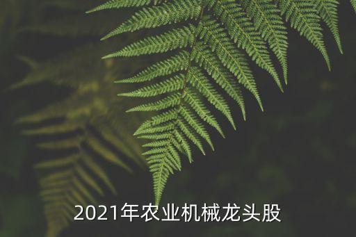 2021年農(nóng)業(yè)機械龍頭股