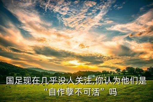 國足現(xiàn)在幾乎沒人關(guān)注,你認(rèn)為他們是“自作孽不可活”嗎