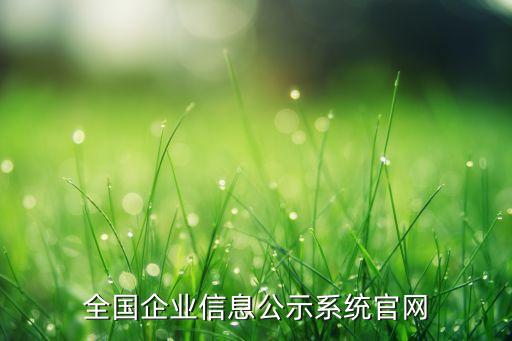 全國企業(yè)信息公示系統(tǒng)官網