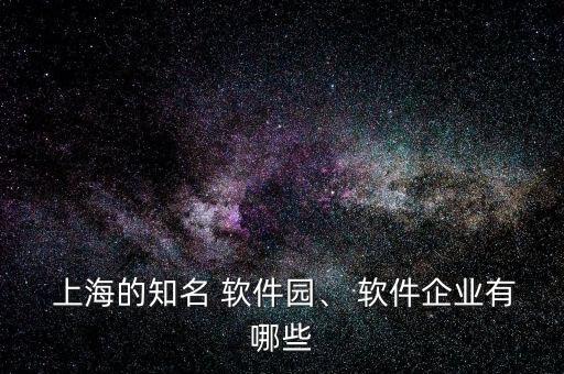  上海的知名 軟件園、 軟件企業(yè)有哪些