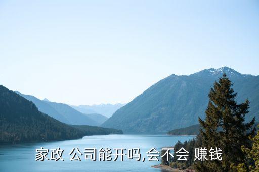 家政 公司能開嗎,會不會 賺錢