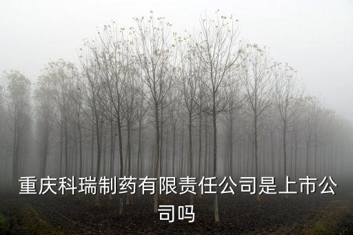 重慶英斯凱化工有限公司怎么樣,英斯特力(重慶)儀器有限公司