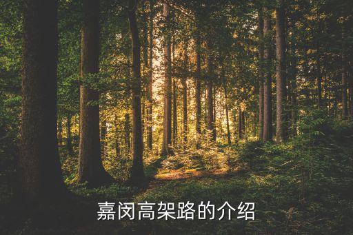 嘉閔高架路的介紹