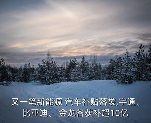 又一筆新能源 汽車(chē)補(bǔ)貼落袋,宇通、比亞迪、 金龍各獲補(bǔ)超10億