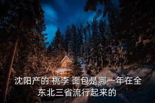 沈陽桃李面包有限公司