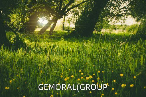 GEMORAL(GROUP