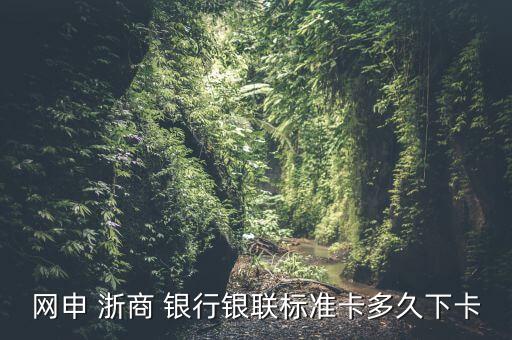 網(wǎng)申 浙商 銀行銀聯(lián)標(biāo)準(zhǔn)卡多久下卡